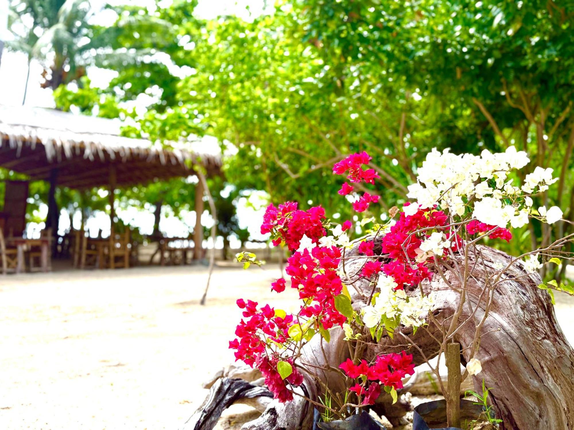 Dosplaya Ecocamp Otel El Nido Dış mekan fotoğraf